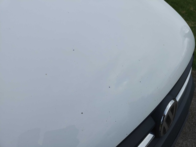 1485259-11 Volkswagen Caddy Van 2.0 TDI BMT DSG Sequential, 102hp -2017