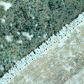 1515508-5 Hand-knotted Oriental Vintage Rug Wool Green 205x218cm (750797)