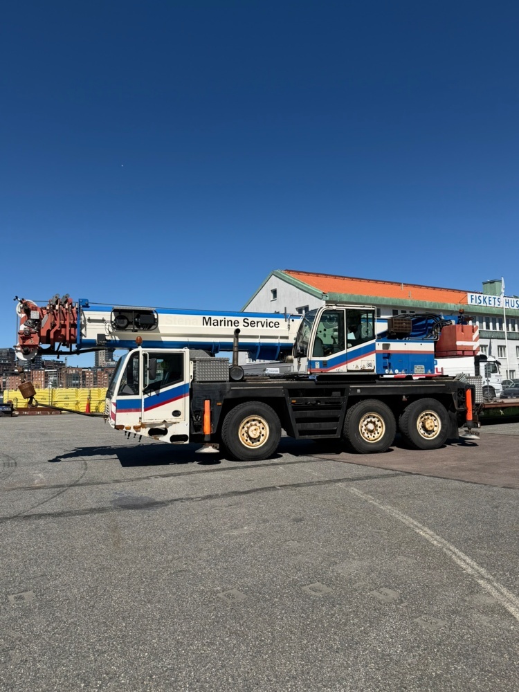 1344245-2 Mobilkran 50T - Terex-Demag AC 50-1 - Nybesiktad