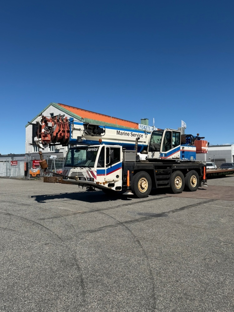 1344245-1 Mobilkran 50T - Terex-Demag AC 50-1 - Nybesiktad
