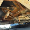 1344245-71 Mobile crane 50T - Terex-Demag AC 50-1
