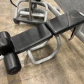 1534488-7 Radiant Selection Technogym Ercolina