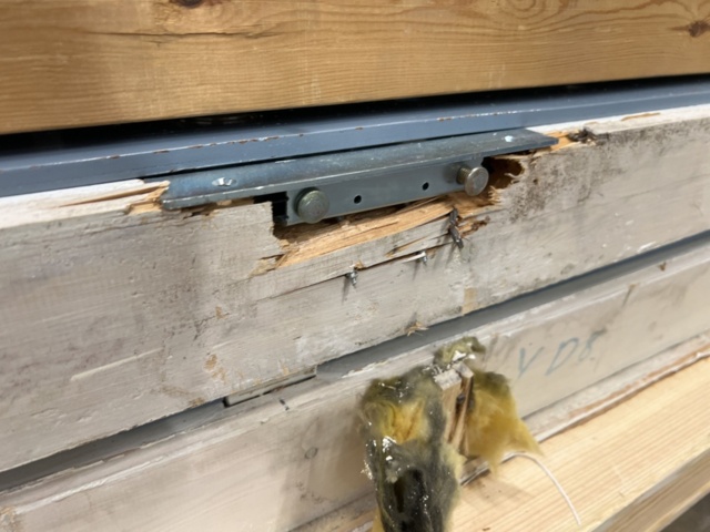 1534676-81 10 st lägenhetsdörrar 21x9
