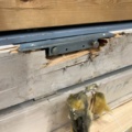 1534677-81 10 st lägenhetsdörrar 21x9