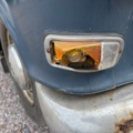 1471480-37 Volvo Amazon 121 P120 1.8 Automatic, 75hp, 1965