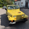 1471483-10 Jeep Wrangler 4.2 4WD Islander YJ Automatisk, 114hk, 1990