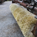 1514944-12 Sweeper roller Holms SB4L