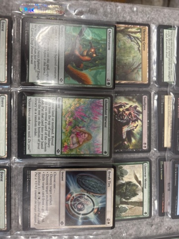 1482682-11 Magic the gathering - Playing cards