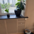 1516291-8 Matbord och stolar 8 st