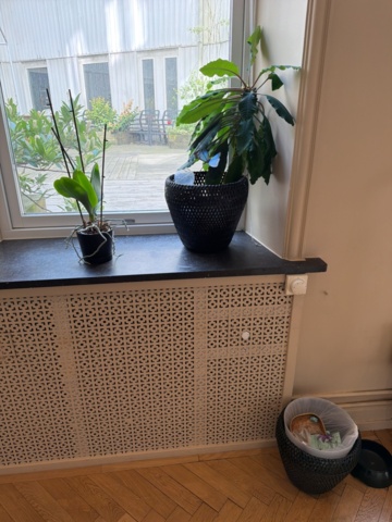1516291-8 Matbord och stolar 8 st