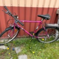 1537749-1 Men's bike Primo