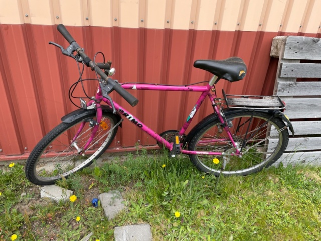 1537749-1 Men's bike Primo