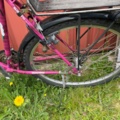 1537749-2 Men's bike Primo