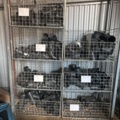 1373139-1 Samling med rördelar och byggmaterial