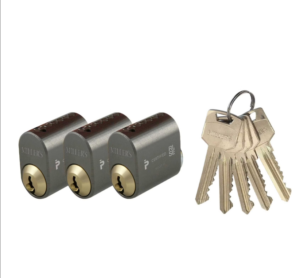 1539552-1 Cylinder, 2-pack - Graphite, oval brass, keyed alike