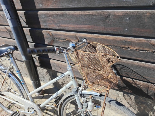 1485366-3 Damcykel - Crescent (Reparationsobjekt)