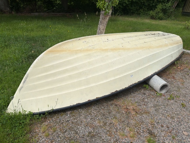 1516331-1 Eka och tinor