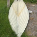 1516331-2 Eka och tinor