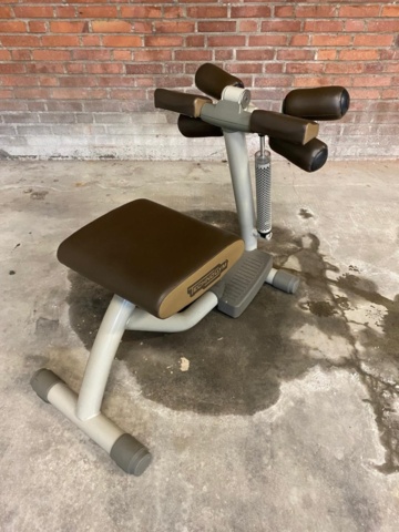 1524733-1 Gym machine back lift / hyperextension - Technogym Easyline
