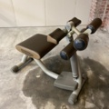 1524733-2 Gym machine back lift / hyperextension - Technogym Easyline