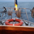 1529718-13 Oak boat with wheelhouse and interior – "The Penguin"