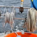 1529718-11 Oak boat with wheelhouse and interior – "The Penguin"