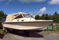 1529855 Boat with canopy – Ockelbo DC 21