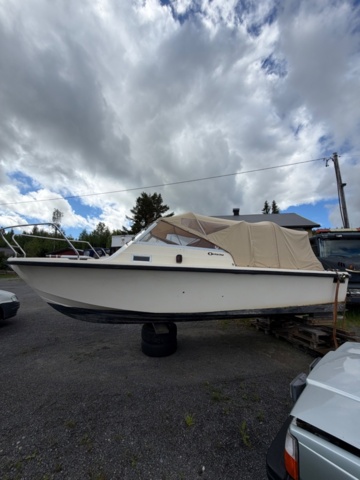 1529855-3 Boat with canopy – Ockelbo DC 21