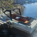 1529856-2 Boat with canopy - Coronet DC 21