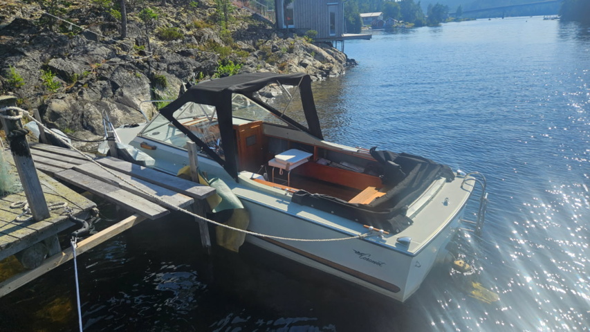 1529856-2 Boat with canopy - Coronet DC 21