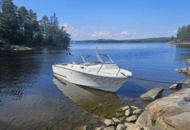 1529856 Boat with canopy - Coronet DC 21