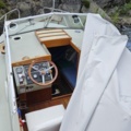 1529856-7 Boat with canopy - Coronet DC 21