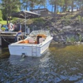 1529856-9 Boat with canopy - Coronet DC 21