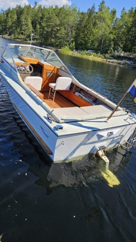 1529856-12 Boat with canopy - Coronet DC 21