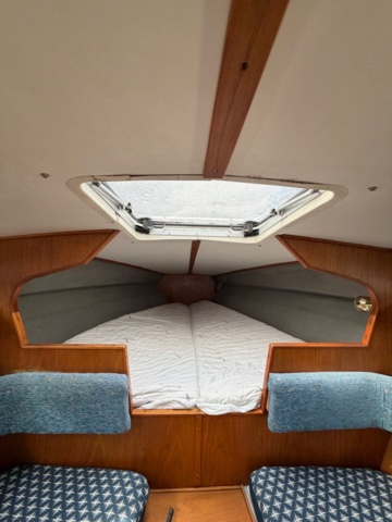 1529857-29 Day cruiser Concorde 900