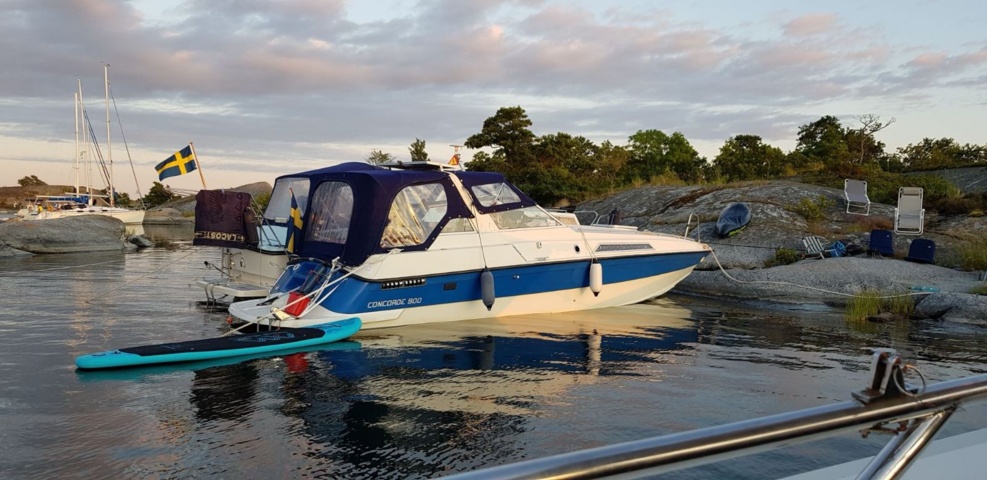 1529857-1 Day cruiser Concorde 900