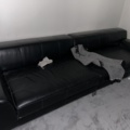1504255-19 Allt i rummet - Skärm, bord, stolar, m.m.