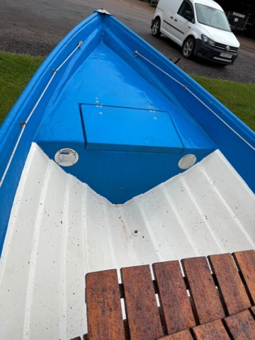 1475290-6 Motorbåt med trailer och utombordsmotor - Evinrude 9.9