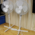 1296025-1 2 ceiling fans