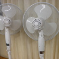 1296025-5 2 ceiling fans