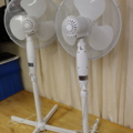 1296025-7 2 ceiling fans