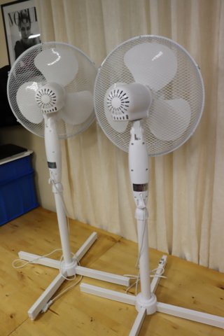 1296025-7 2 ceiling fans
