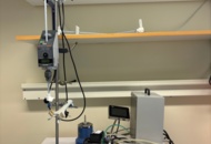 1535574 Samling med diverse labbutrustning - Heidolph RZR 2051 control / IKA magicLAB