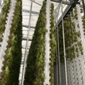 1504262-3 Vertikalodlingssystem med styrsystem - modulbaserat system