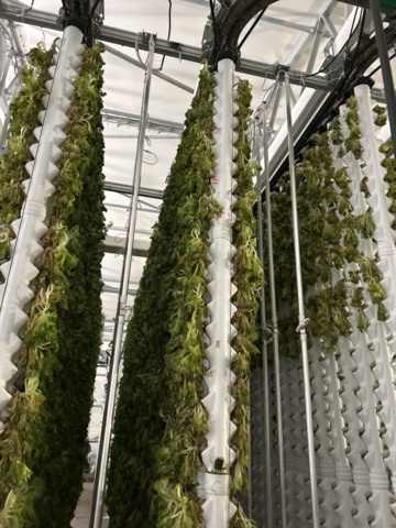 1504262-3 Vertikalodlingssystem med styrsystem - modulbaserat system