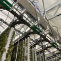 1504262-11 Vertikalodlingssystem med styrsystem - modulbaserat system