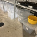 1504268-8 Plåthyllor 5 sektioner för sticklingsodling med LED-belysning