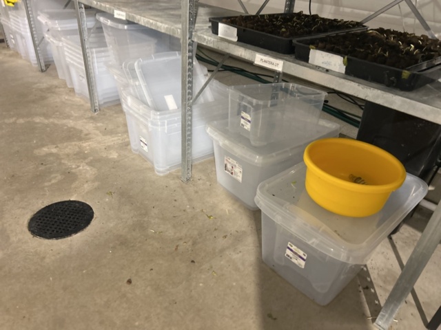 1504268-8 Plåthyllor 5 sektioner för sticklingsodling med LED-belysning