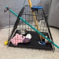 1535539-13 Stroller, golf cart, dog basket, etc.