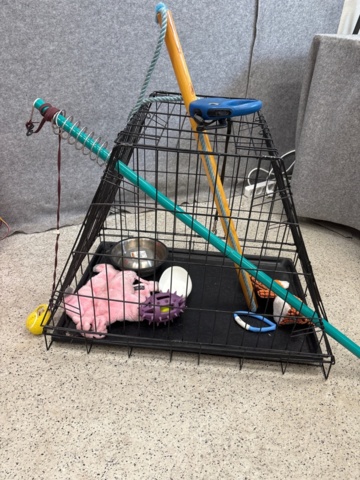 1535539-13 Stroller, golf cart, dog basket, etc.